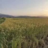 فروش ۴۰۰۰ متری