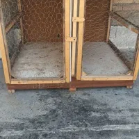 گنجه