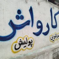 نیروی کار جهت کار در کارواش