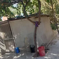 باغچه ۱۵۰۰ متری|فروش خانه و ویلا|مشکین‌دشت, |دیوار