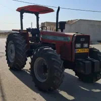 شراکت در دامداری