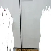 رگال