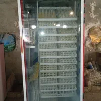 دستگاه جوجه کشی اتوماتیک مشهد برق