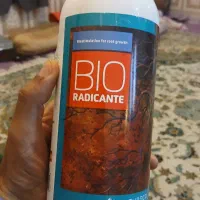 بیورادیکانت ۱ لیتری با کیفیت اصل و تضمینی