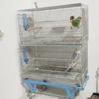 قفس پرنده دوطبقه*