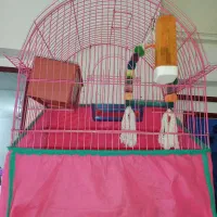 فقس نو برای مرغ عشق با دونه و کلسیم.|لوازم جانبی حیوانات|صومعه‌سرا, |دیوار