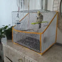 قفس پرنده نوهه نوهه