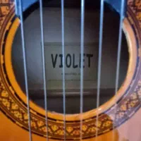 گیتار ویولت