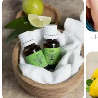 روغن های طبیعی برای زیبایی