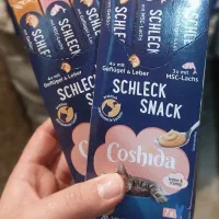 پت شاپ ،،  بستنی گربه کوشیدا