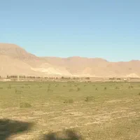 فروش یونجه پرس شده