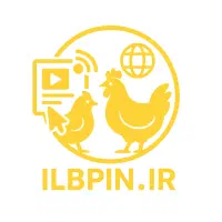 استخدام خبرنگار (مصاحبه‌گر) پروژه‌ای و غیرحضوری|استخدام هنری و رسانه|قم, عمار یاسر|دیوار