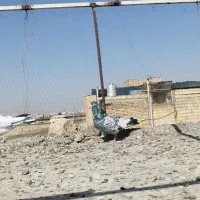 کبوتر پرشی|پرنده|قم, شهر قائم|دیوار
