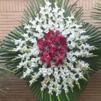 تاج ترحیم|گل و گیاه طبیعی|اصفهان, فرودگاه|دیوار