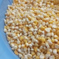 ذرت‌مکزیکی