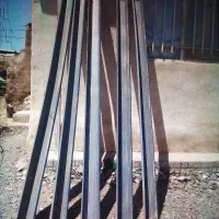 دانخوری و نیپل