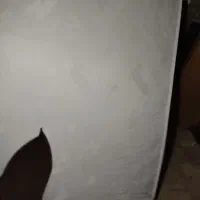 تشک سالم