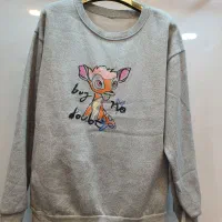 هودی وارداتی داخل کرک|لباس|درگهان, |دیوار