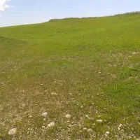 زمین کشاورزی