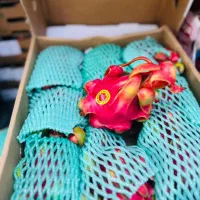 یه جای خوب واسه میوه فروشی