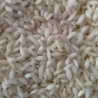 برنج هاشمی قلوه دار با عطر پخت خوب عالی|خوردنی و آشامیدنی|رشت, حافظ آباد|دیوار