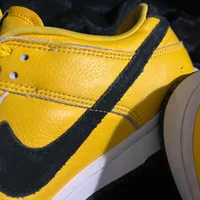 کتونی نایک dunk sb low|کیف، کفش، کمربند|تهران, جردن|دیوار