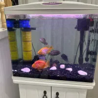 آکواریوم ماهیران با پایه در حد