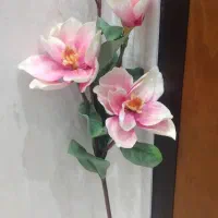 گلهای شاخه بلند نو