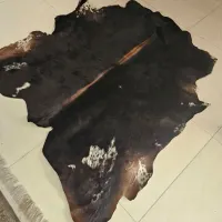 پوست گاو (چرم)