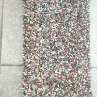 آکواریوم ماهی