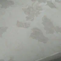 نظافتچی خانوم