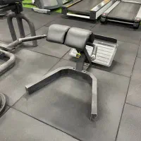 فیله کمر ‌و ساق پا نشسته