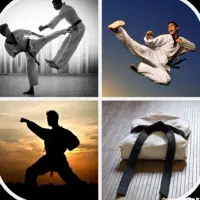 آموزش تکواندو(انواع مبارزات رینگی و ام ام ای)