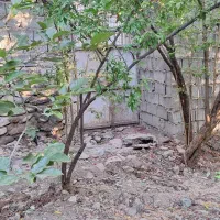 باغچه فروشی|فروش زمین و ملک کلنگی|تهران, بهاران|دیوار