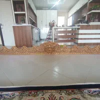 کتیبه پردی