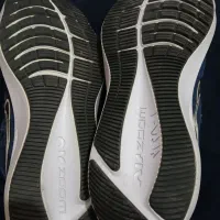 کفش نایک|کیف، کفش، کمربند|شیراز, نارنجستان|دیوار