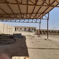 رهن/اجاره دامپروری (گاوداری شیری و پرواری)|اجارهٔ دفتر صنعتی، کشاورزی، تجاری|فشاپویه, |دیوار