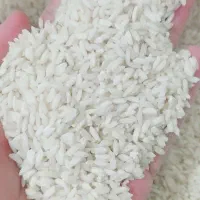 برنج|خوردنی و آشامیدنی|شوشتر, |دیوار