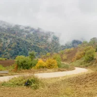 اجاره ویلای کوهستانی و جنگلی باچشم اندازبینظیر|اجارهٔ کوتاه‌مدت ویلا و باغ|علی‌آباد کتول, |دیوار