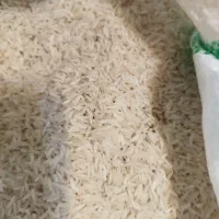 برنج طارم هاشمی مازندران|خوردنی و آشامیدنی|قم, شهرک فاطمیه|دیوار