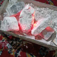 زغال لیمو سوخت صد درصدی|عمده‌فروشی|اندیمشک, |دیوار