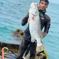 ماهیگیری|ماهیگیری|بوشهر, |دیوار