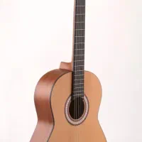 آموزش گیتار (کلاسیک و پاپ)