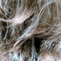 کلاه گیس طبیعی بلند|آرایشی، بهداشتی، درمانی|بروجن, |دیوار