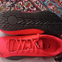 کفش سالنی|کیف، کفش، کمربند|قم, نیروگاه|دیوار