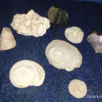 مقداری سنگ اصل معدنی وفسیل های زیبا|جواهرات|کرمانشاه, |دیوار