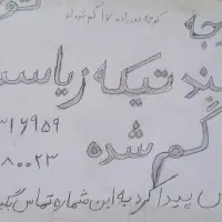 چند تیکه زیاستین گم شده خیابان دورزاده ۱۷|اشیا|ایرانشهر, |دیوار