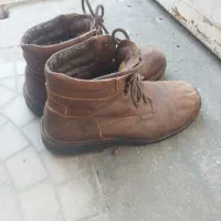 کفش کار|کیف، کفش، کمربند|فسا, |دیوار