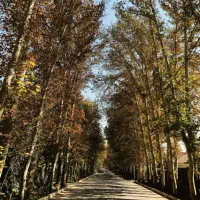 ویلایی دهکده/شهرک دهکده/دهکده