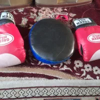 دستکش بوکس ومیت وکفش بوکس یاکشتی